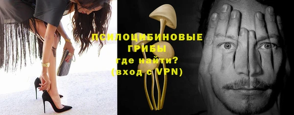 ГАЛЛЮЦИНОГЕННЫЕ ГРИБЫ Михайловск