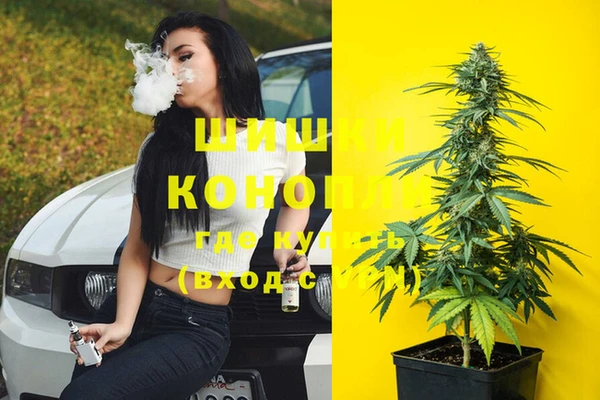ГАЛЛЮЦИНОГЕННЫЕ ГРИБЫ Михайловск