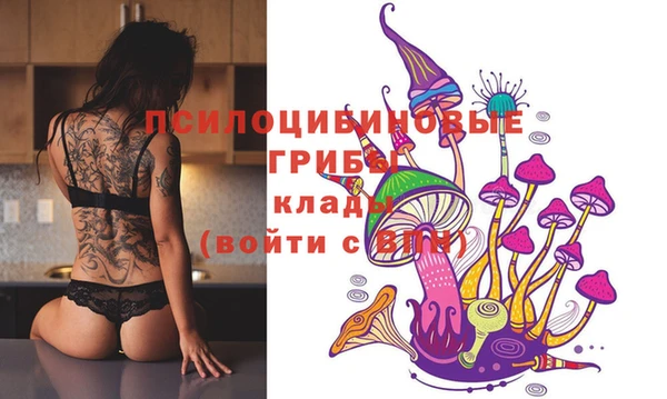 каннабис Михайловка