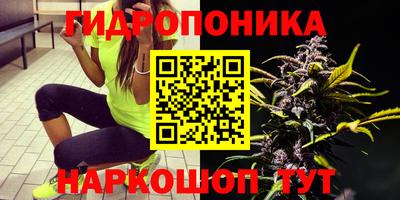 кокаин премиум Гай