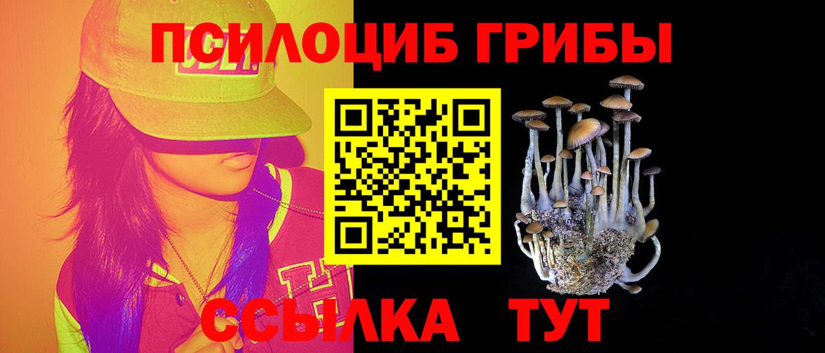 Галлюциногенные грибы Psilocybe  Вход с VPN  Карталы  Галлюциногенные грибы ЛСД 