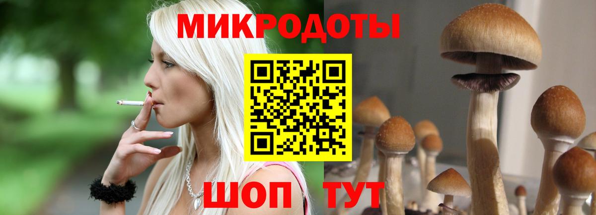 Псилоцибиновые грибы Cubensis Карталы
